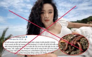 Quang Linh Vlogs và Hằng Du Mục